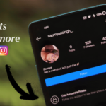 How to Save Instagram Private Profile Posts ?